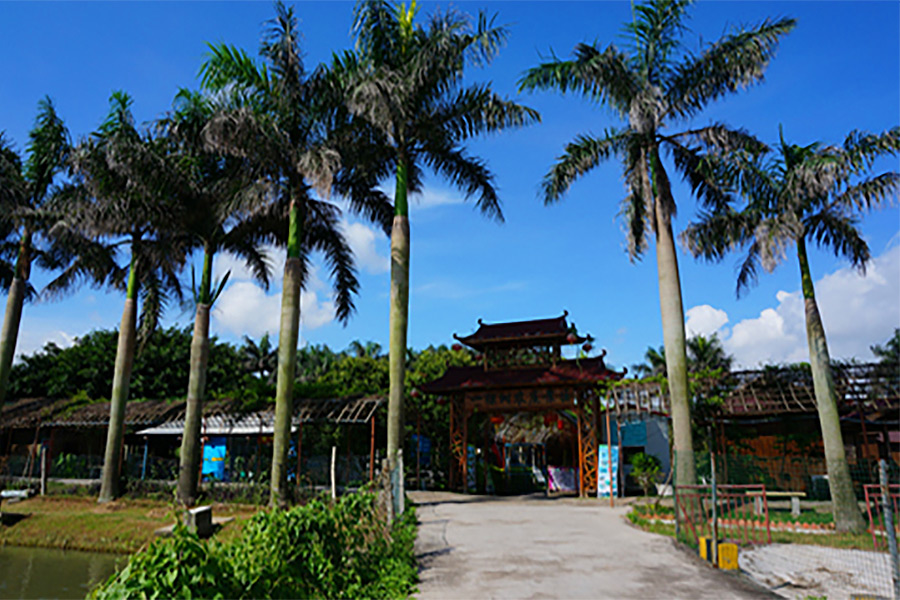 珠海一棵树拓展基地