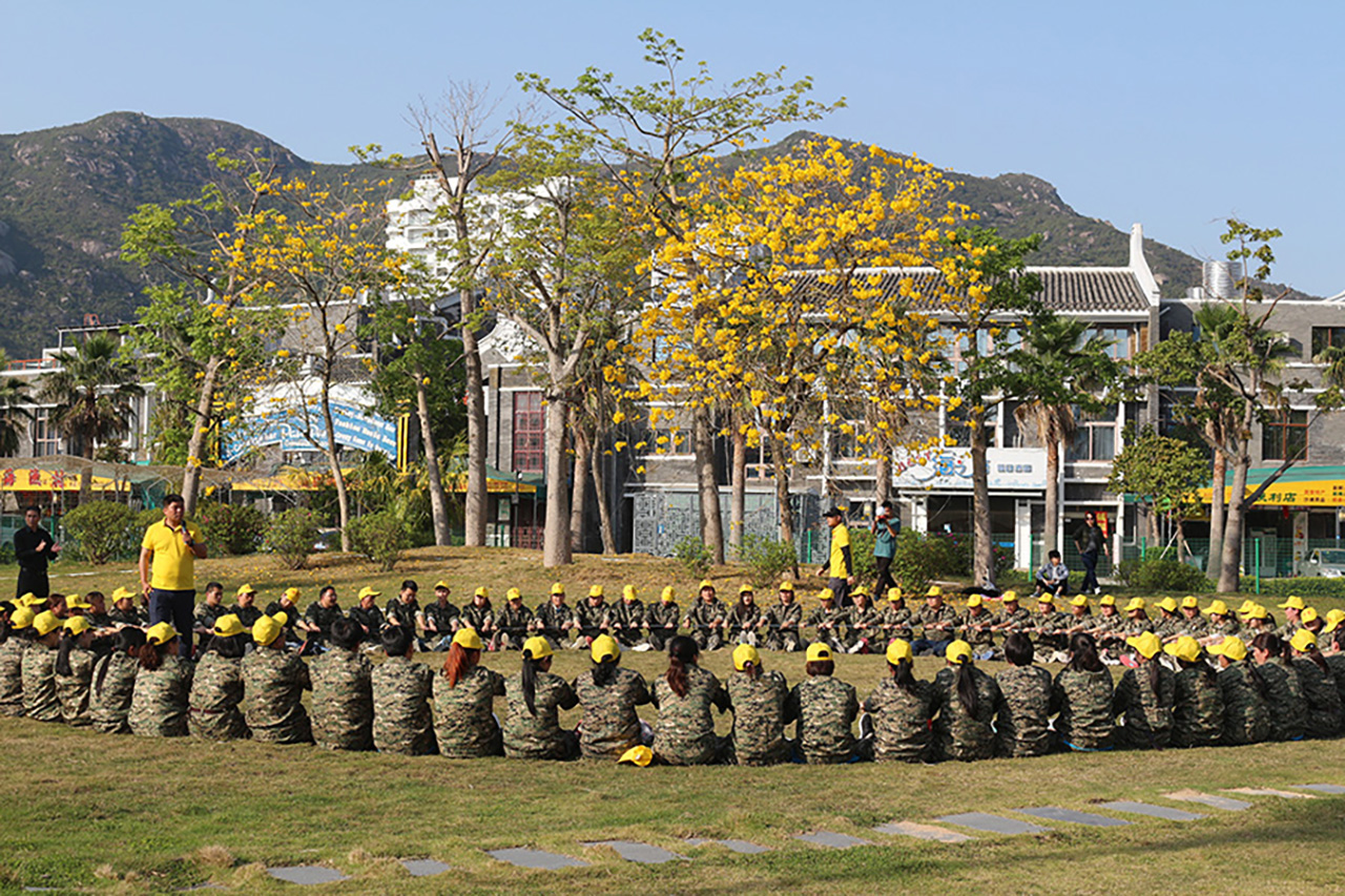 团队卓越圈